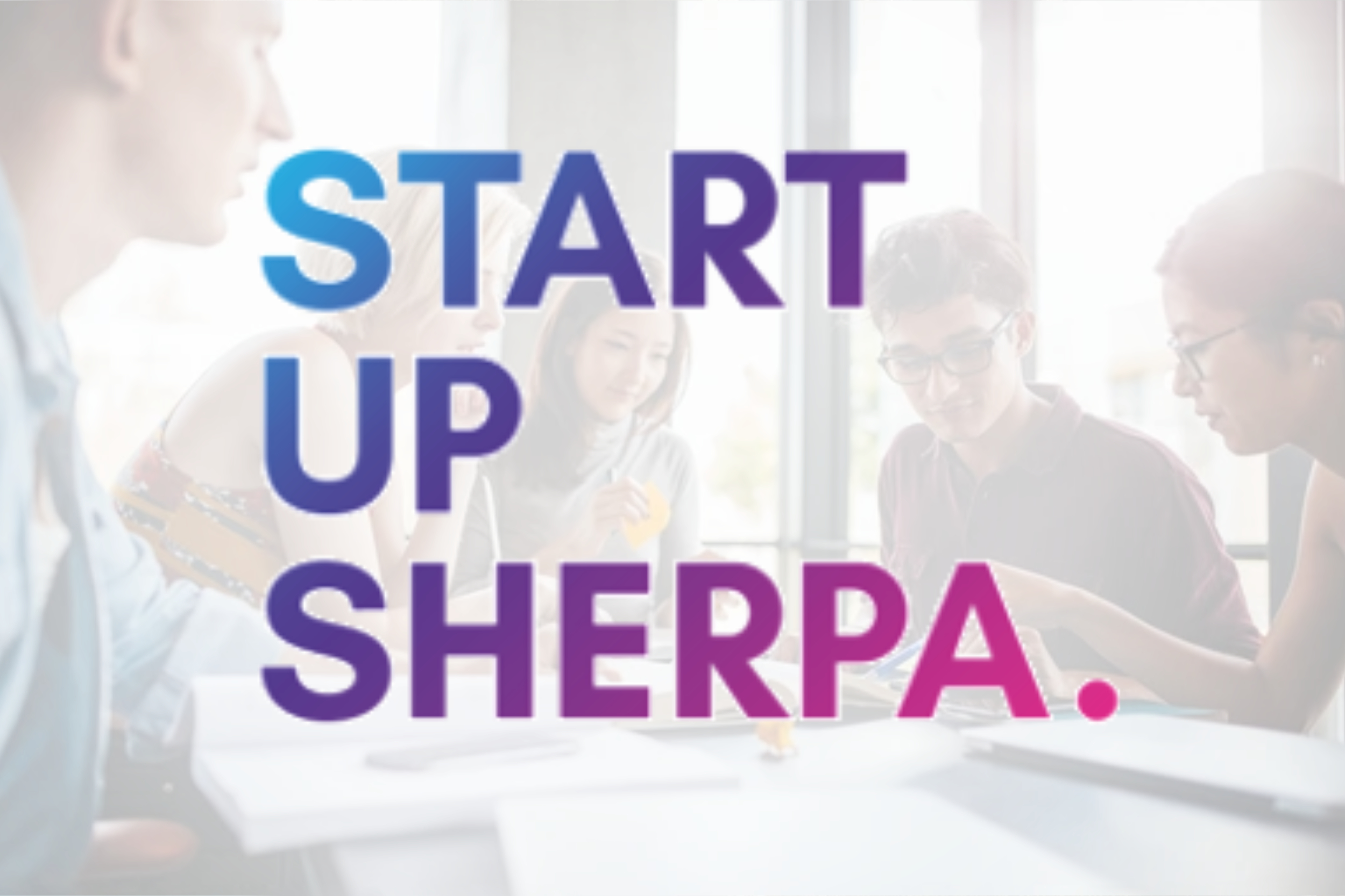 Startup Sherpa Website [Freelance]